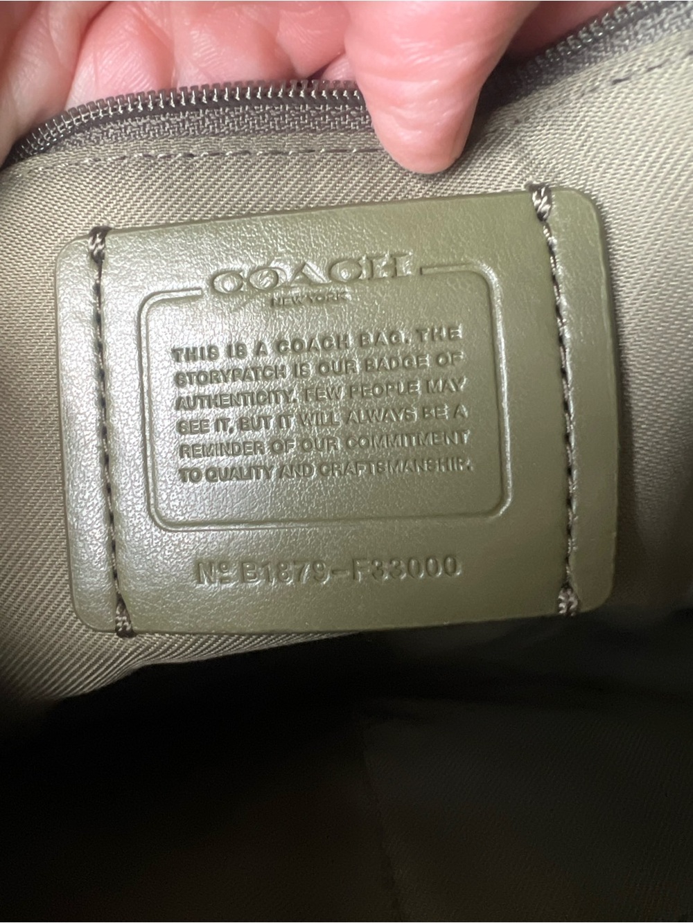Coach Pebbled Leather Hobo Bag in Olive Surplus Green Style F33000 - Picture 2 of 14